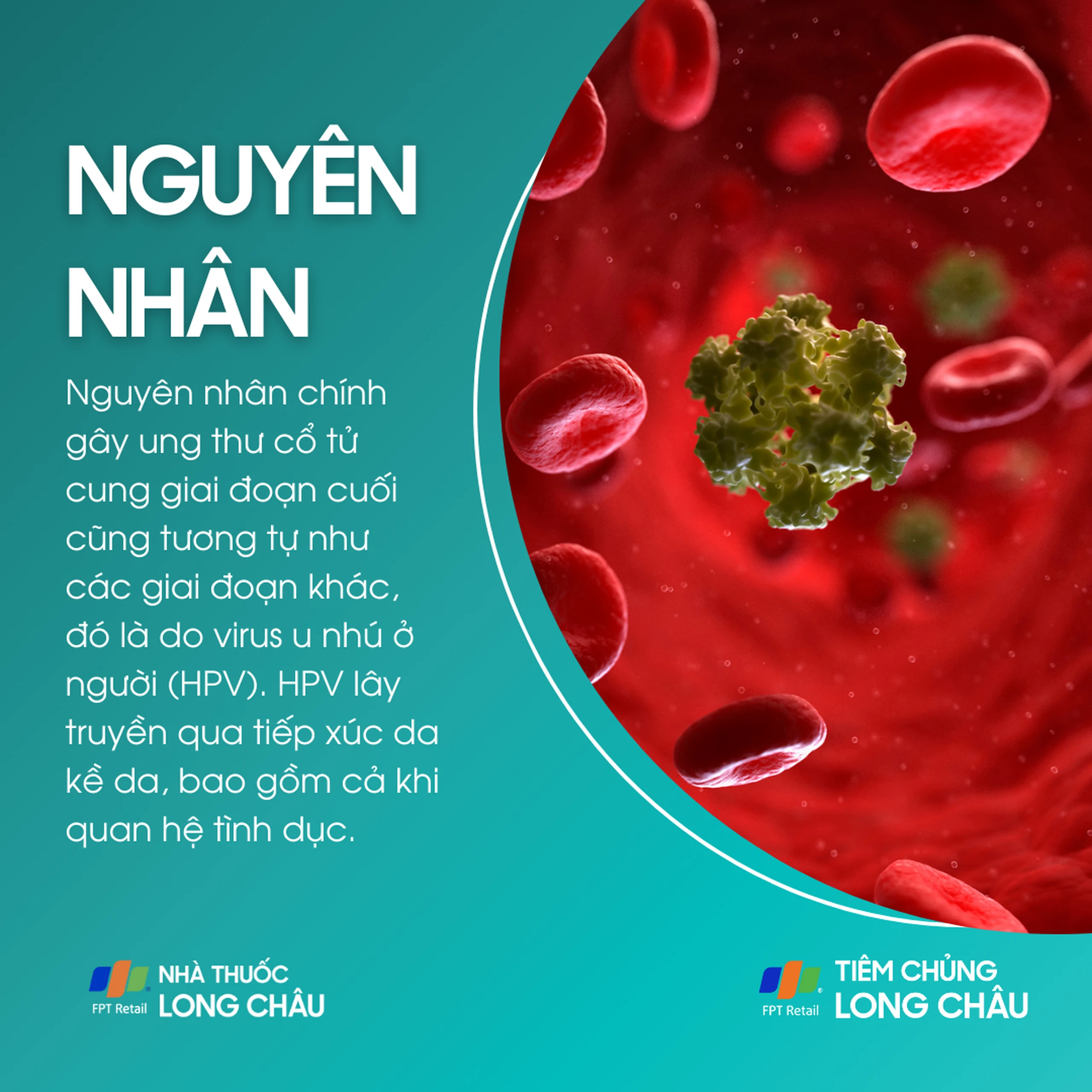 ung_thu_co_tu_cung_giai_doan_cuoi_3_d2f47b2fdf