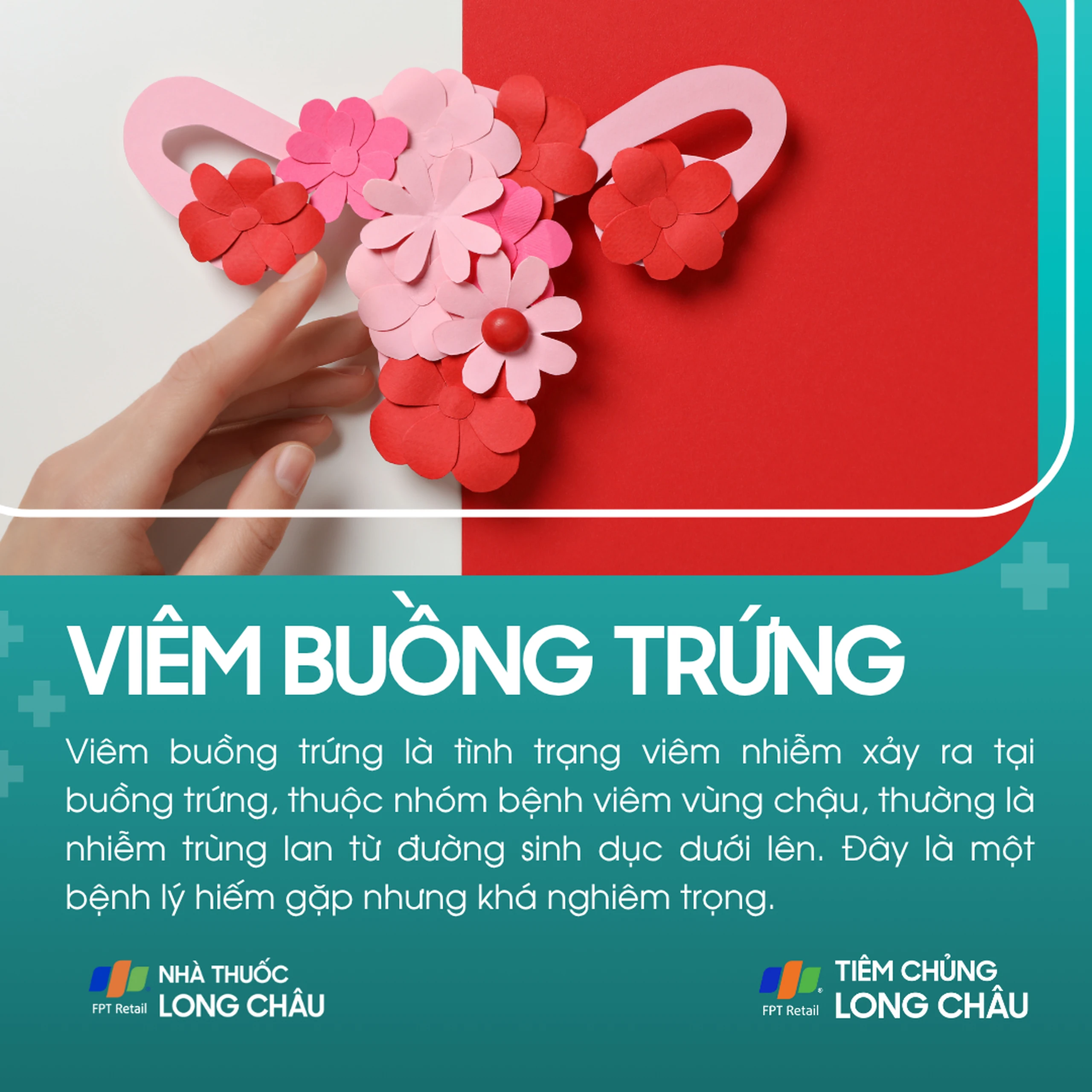 viem_buong_trung_1_9654e13dc5