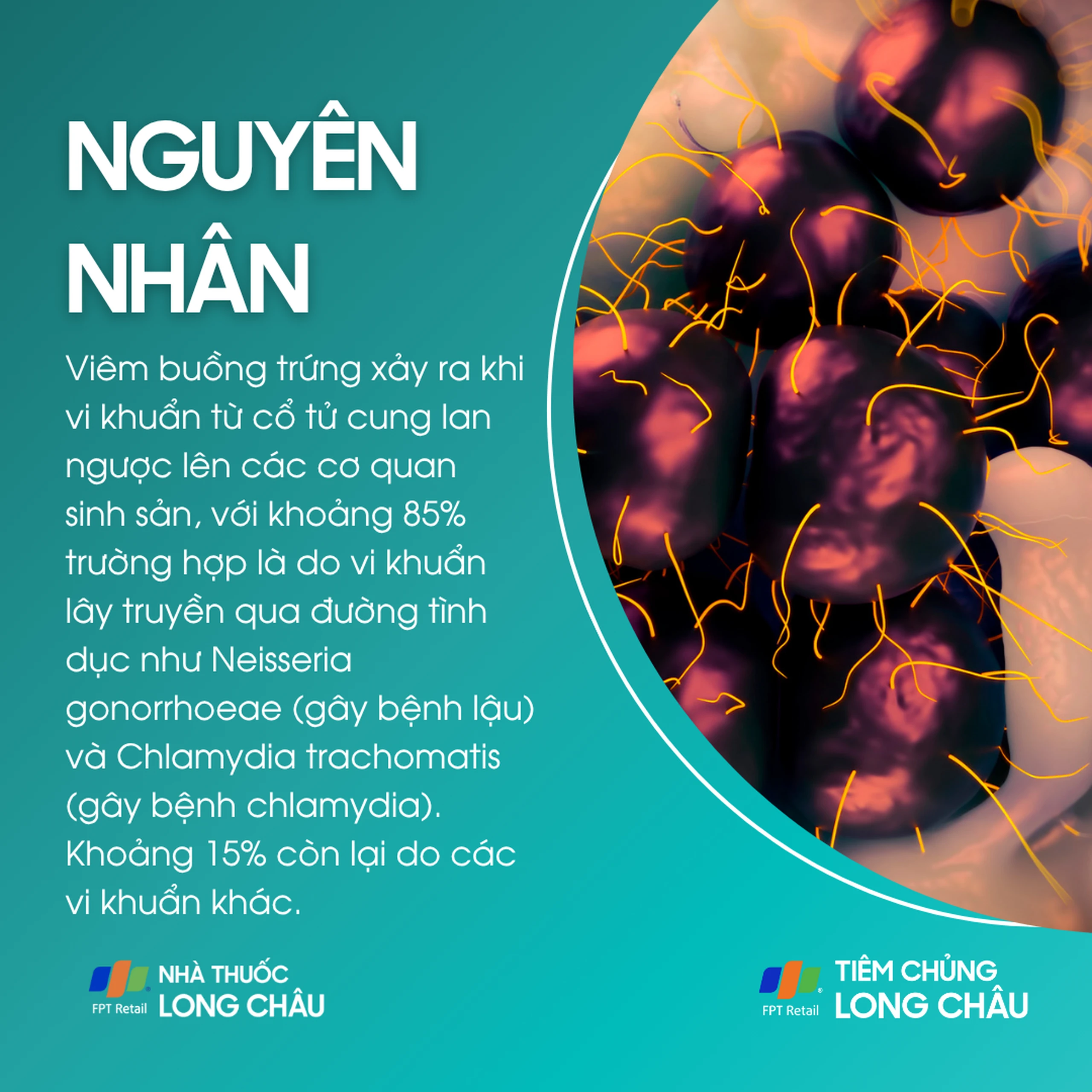 viem_buong_trung_3_f83223cea9