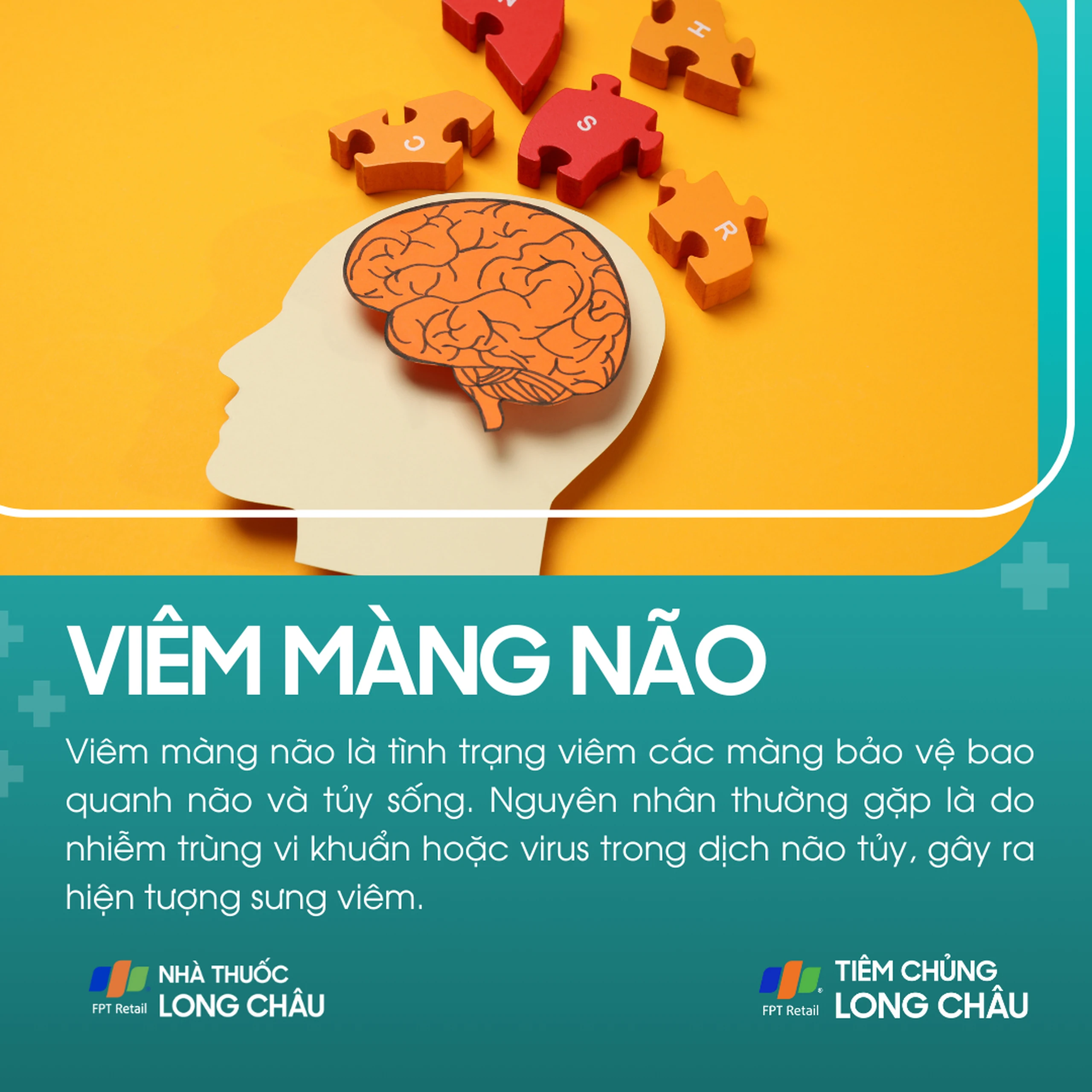 viem_mang_nao_1_9197fa41b1