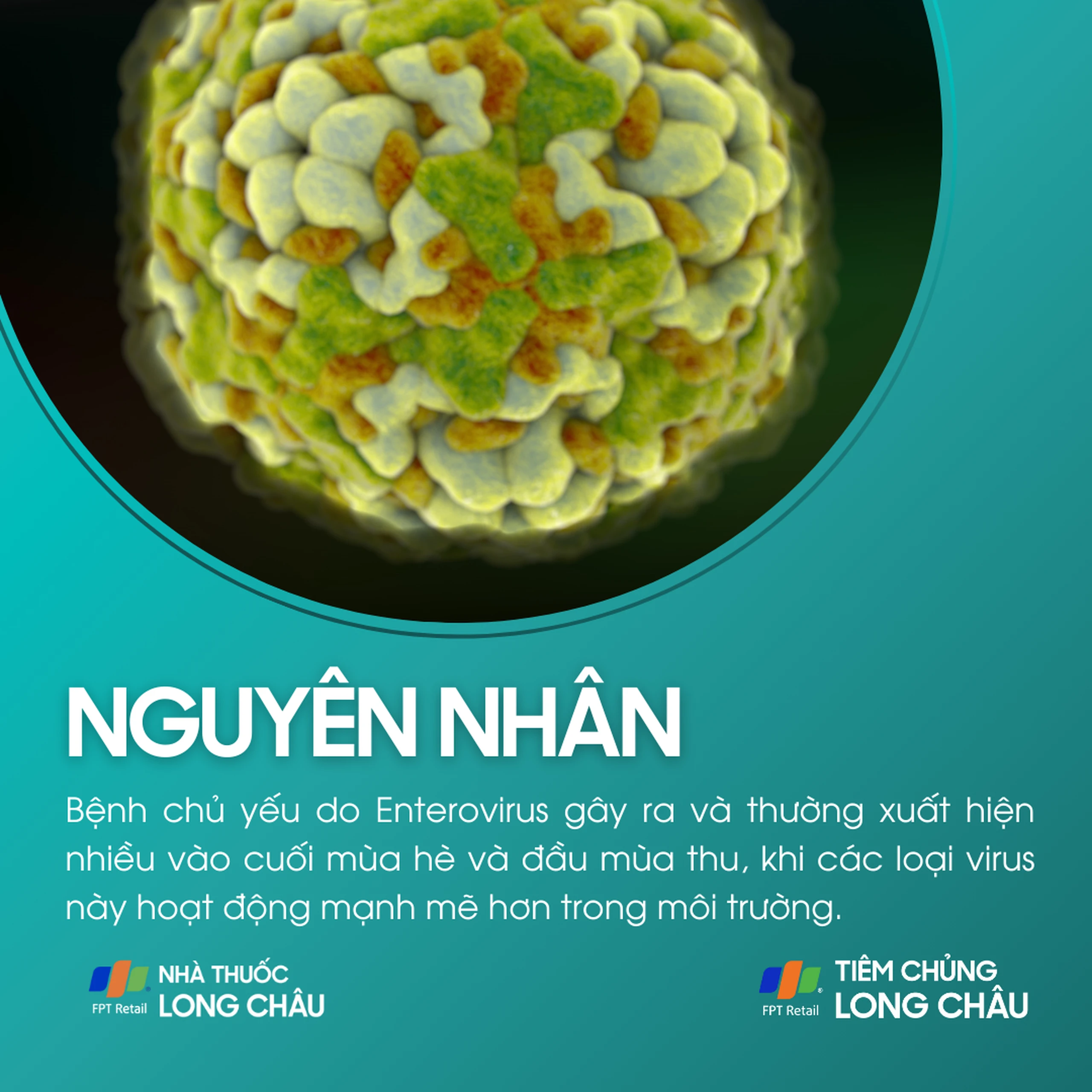 viem_mang_nao_do_virus_3_e5f5513801