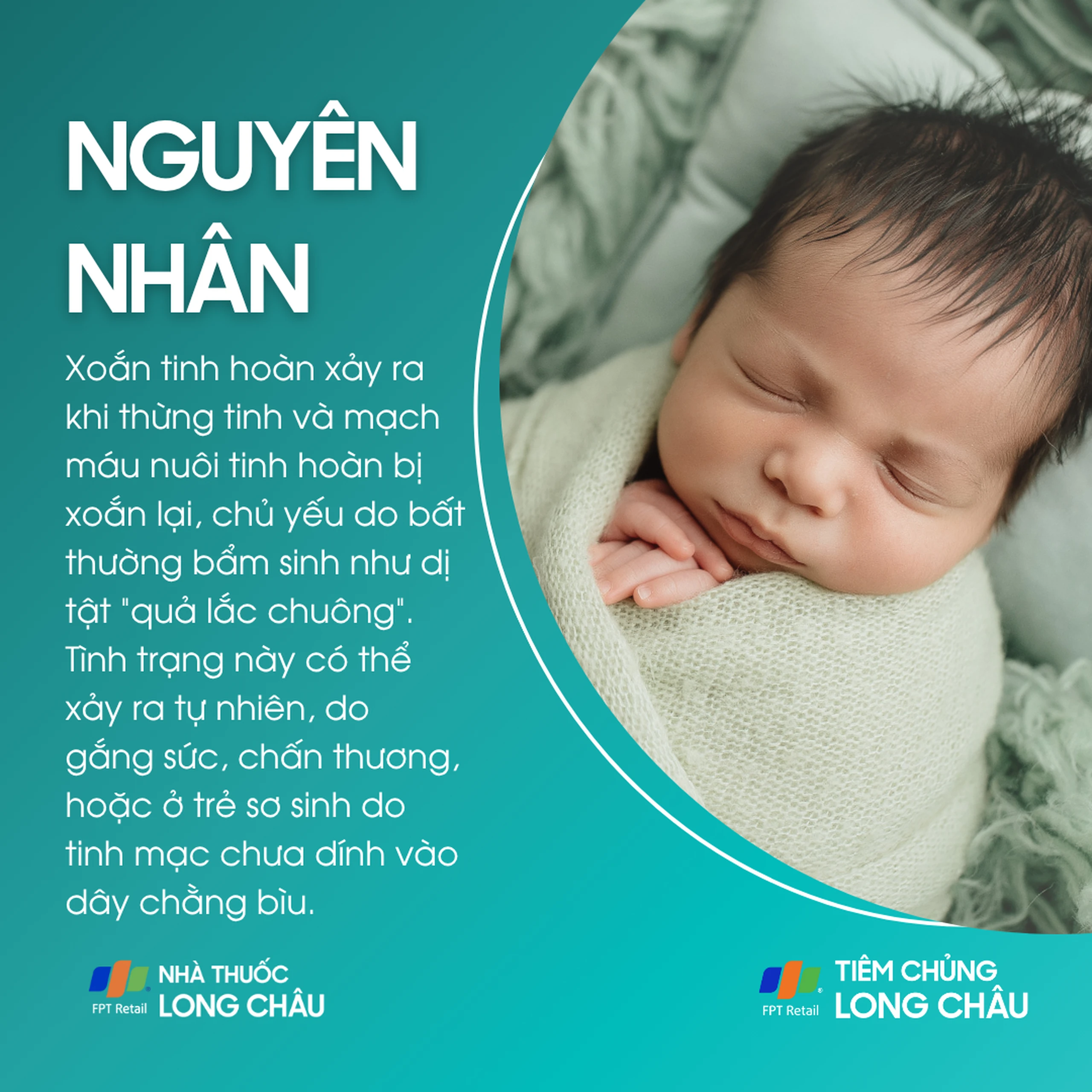 xoan_tinh_hoan_3_9b6ca50355