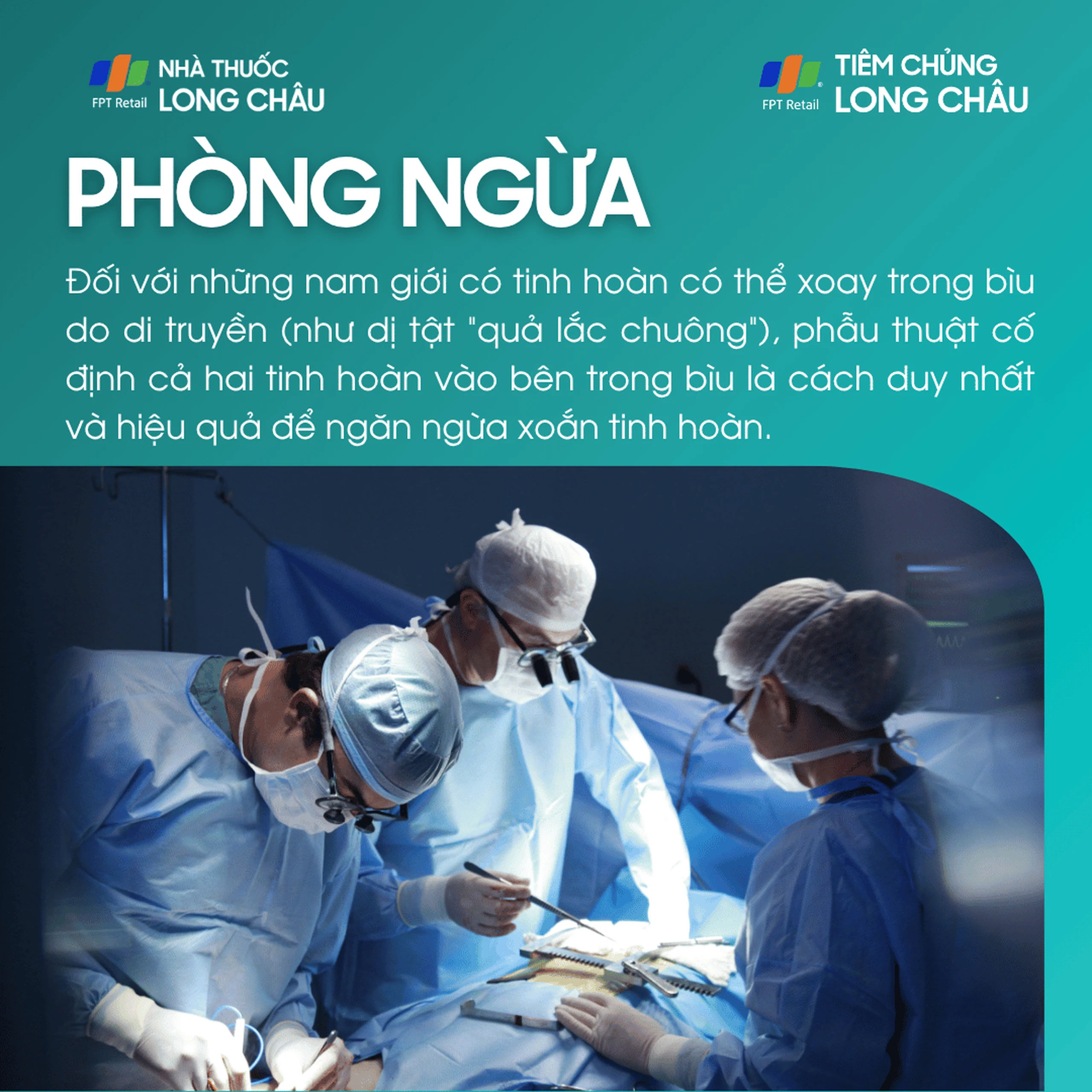 xoan_tinh_hoan_7_95c8495339