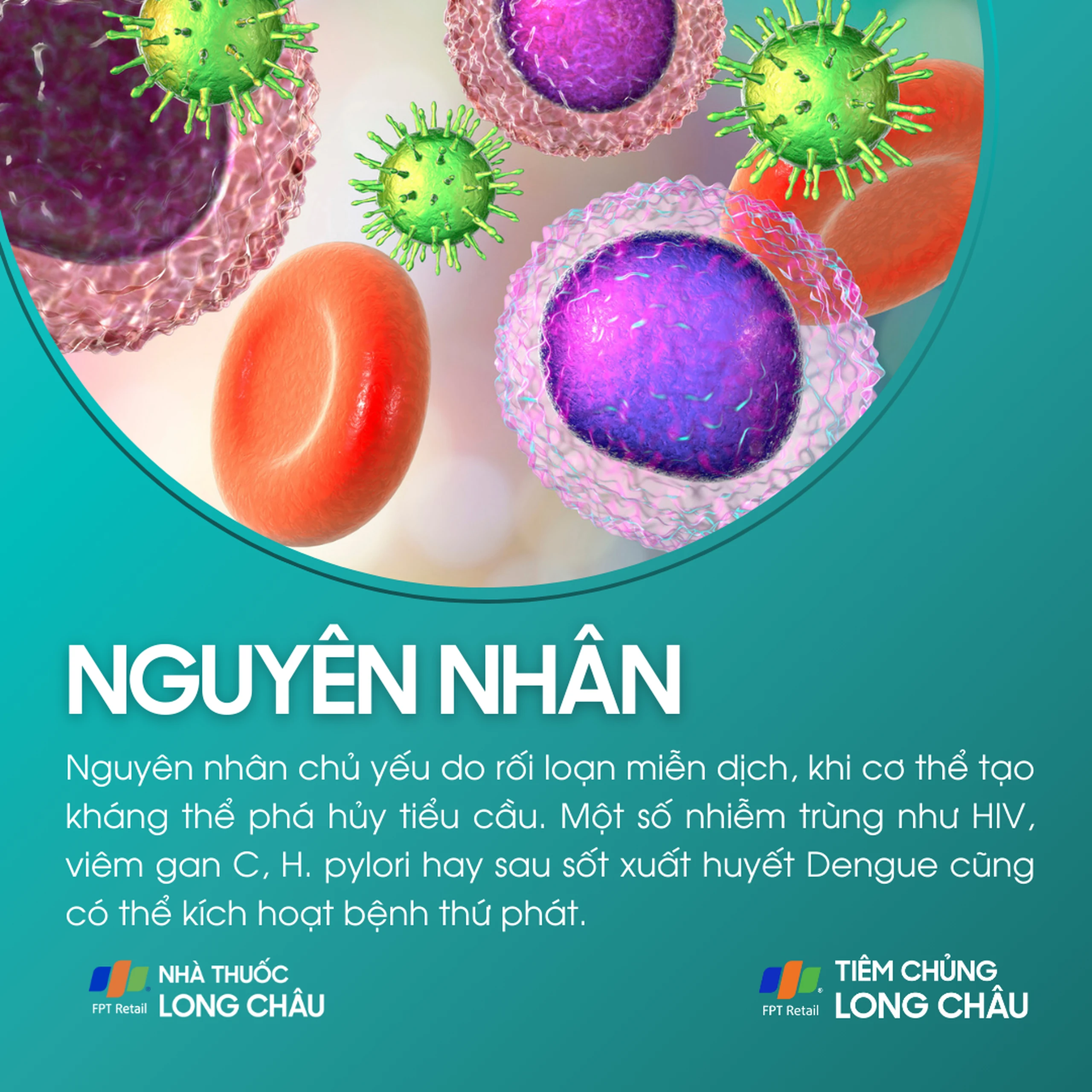 xuat_huyet_giam_tieu_cau_3_9a5c0b560d