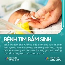 benh_tim_bam_sinh_1_8c771c682a