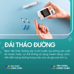 dai_thao_duong_1_b8a50d3d3b