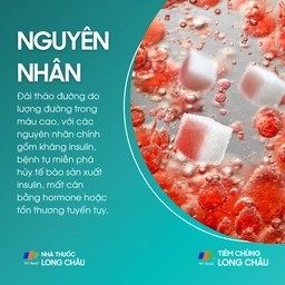 dai_thao_duong_3_a2373de606