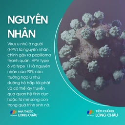 papilloma_thanh_quan_3_557f6ba2de