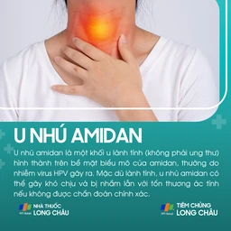 u_nhu_amidan_1_488b336547