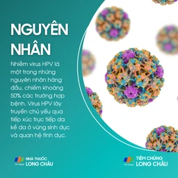 ung_thu_duong_vat_3_2279891256