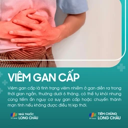 viem_gan_cap_1_0bd37a550b