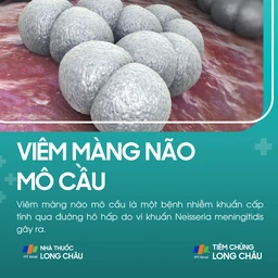 Viêm màng não mô cầu 1