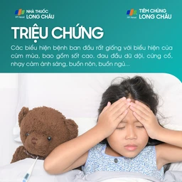 Viêm màng não mô cầu 2