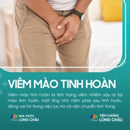 viem_mao_tinh_hoan_1_d6a58f8ab1