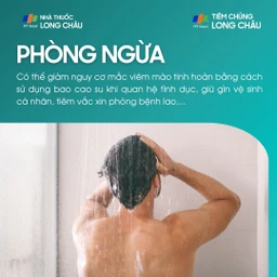 viem_mao_tinh_hoan_7_2ece19703d