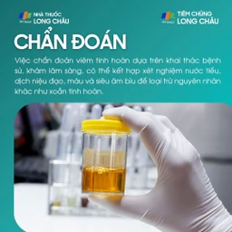 viem_tinh_hoan_5_0ee611277c