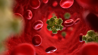 12 type HPV nguy cơ cao là gì? 12 type HPV này có nguy hiểm không?