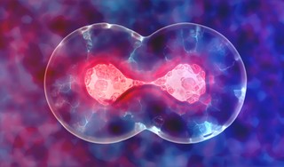 Loạn sản là gì? Nguyên nhân và các dạng thường gặp