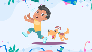 Sau khi bị chó cắn, cần xử trí như thế nào để đảm bảo an toàn?