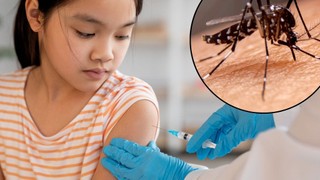 Tiêm vắc xin sốt xuất huyết ở Thanh Hóa ở đâu cho an toàn?