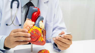 Những yếu tố nguy cơ tim mạch và các biện pháp phòng ngừa bệnh 