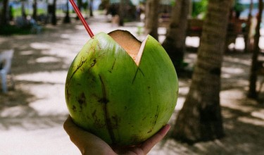 Uống nước dừa mỗi ngày có tốt không? Cần lưu ý điều gì?