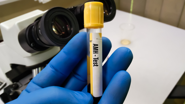 AMH bao nhiêu là bình thường? Giải mã chỉ số giúp bạn hiểu rõ sức khỏe sinh sản