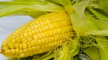 Ăn bắp có tốt không? Lợi ích sức khỏe và những lưu ý quan trọng khi ăn bắp