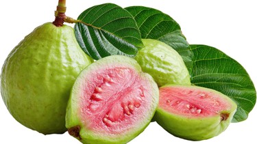 Ăn hạt ổi có bị đau ruột thừa không? Những lưu ý cần biết