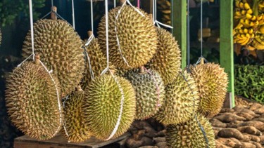 Ăn sầu riêng có béo không? Cách ăn sầu riêng không tăng cân