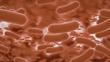 Bạch hầu ngoài da: Biểu hiện và cách phòng ngừa lây nhiễm