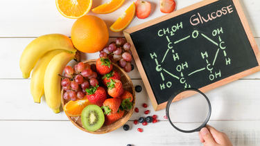 Bảng trao đổi chất cơ bản giúp đánh giá sức khỏe