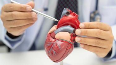 Cơ tim phì đại là gì? Nguyên nhân và cách phòng ngừa hiệu quả