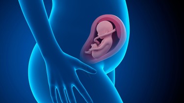 Thuyên tắc ối: Nguyên nhân gây bệnh và phương pháp điều trị, phòng ngừa hiệu quả