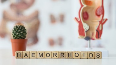 Trĩ nội là gì? Những điều cần biết về trĩ nội