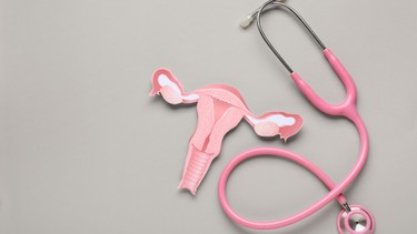 Tử cung đôi là gì? Nguyên nhân và phương pháp điều trị hiệu quả