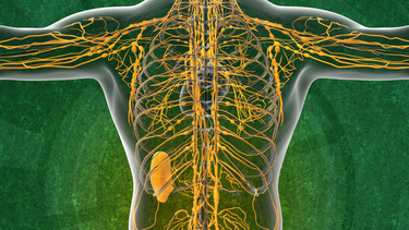 U nang bạch huyết: Triệu chứng, nguyên nhân, cách điều trị và phòng ngừa