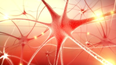 Viêm dây thần kinh là gì? Nguyên nhân, triệu chứng và cách phòng ngừa hiệu quả