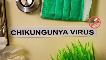 Bệnh Chikungunya là bệnh gì? Vì sao WHO xếp vào nhóm nguy hiểm?