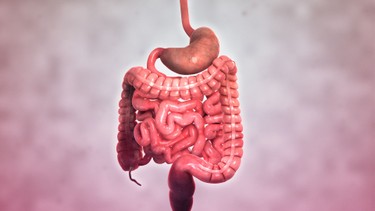 Bệnh Crohn: Từ nguyên nhân đến cách phòng ngừa và điều trị