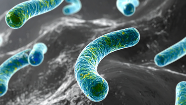 Bệnh lậu có tái phát lại không?