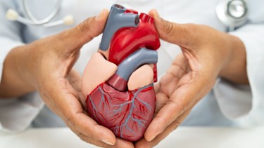 Bệnh tim có di truyền không? Khi nào bệnh tim mang yếu tố di truyền?