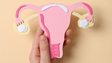 Buồng trứng bình thường có bao nhiêu nang? Giải thích chi tiết và chính xác