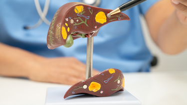 Cách tăng cường chức năng gan tự nhiên giúp bảo vệ sức khỏe