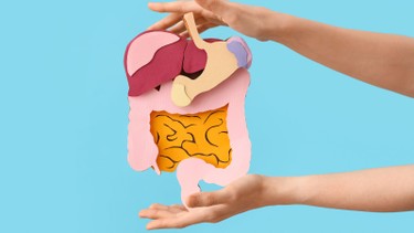 Cách tiêu hóa nhanh sau khi ăn: Bí quyết giúp bụng nhẹ, không đầy hơi