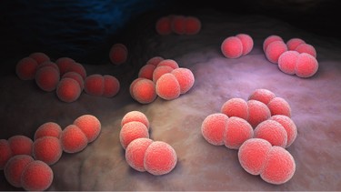 Cảnh báo não mô cầu type B: Nguy cơ tử vong nhanh và cách phòng tránh