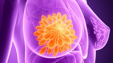 Cấu trúc ngực bình thường và những cảnh báo cho thấy vú bất thường