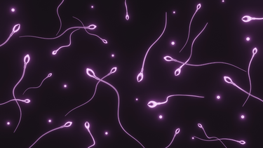 Chất lượng tinh trùng thế nào là khỏe mạnh? Những điều cần biết