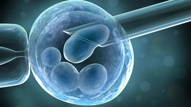 Chi phí chọc hút trứng khoảng bao nhiêu? Các yếu tố ảnh hưởng