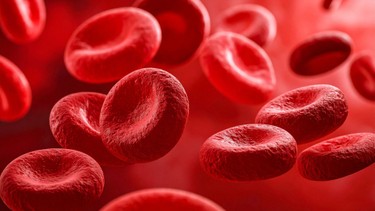 Chỉ số hemoglobin là gì? Khi nào nên xét nghiệm?